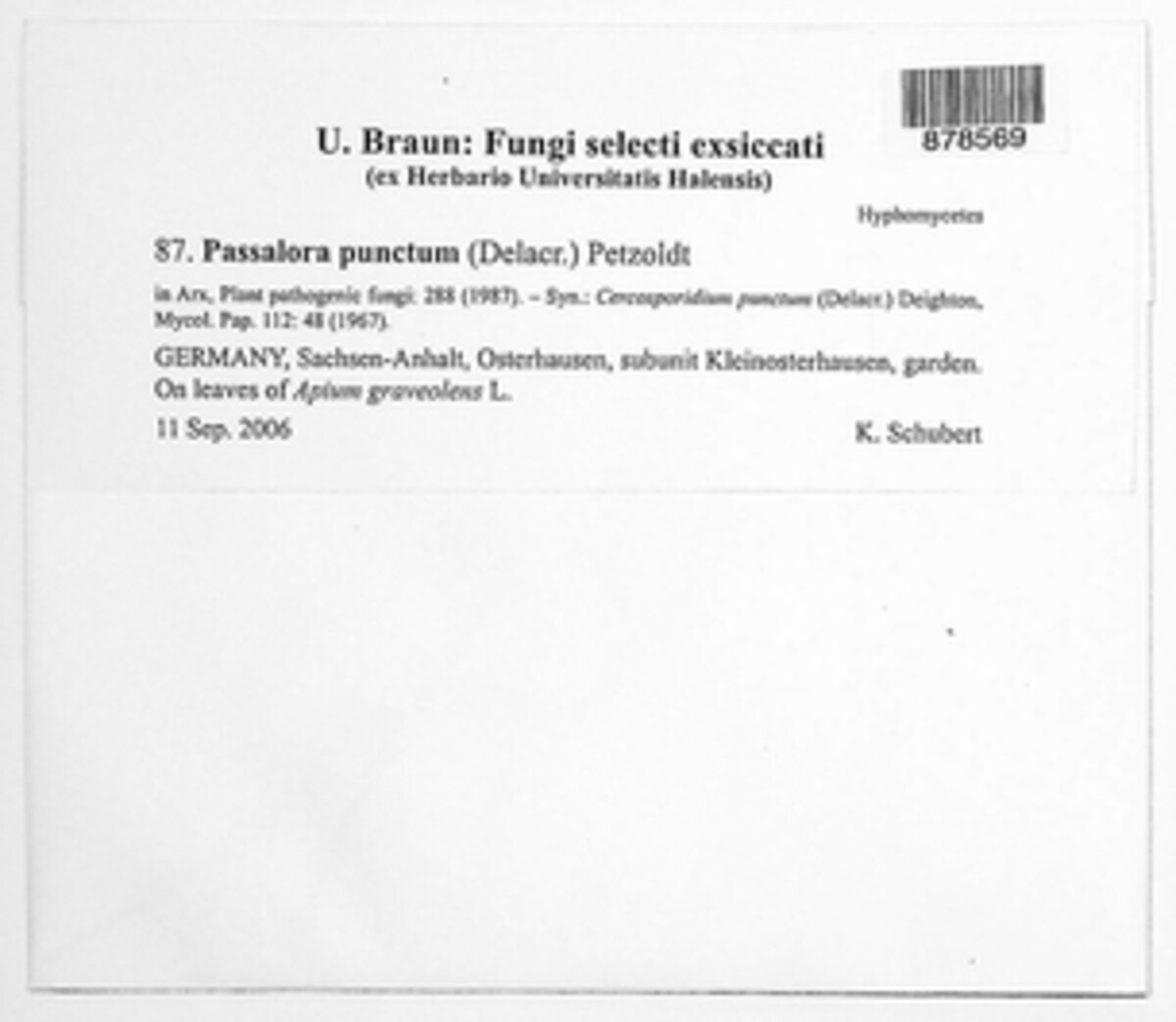 Passalora punctum image